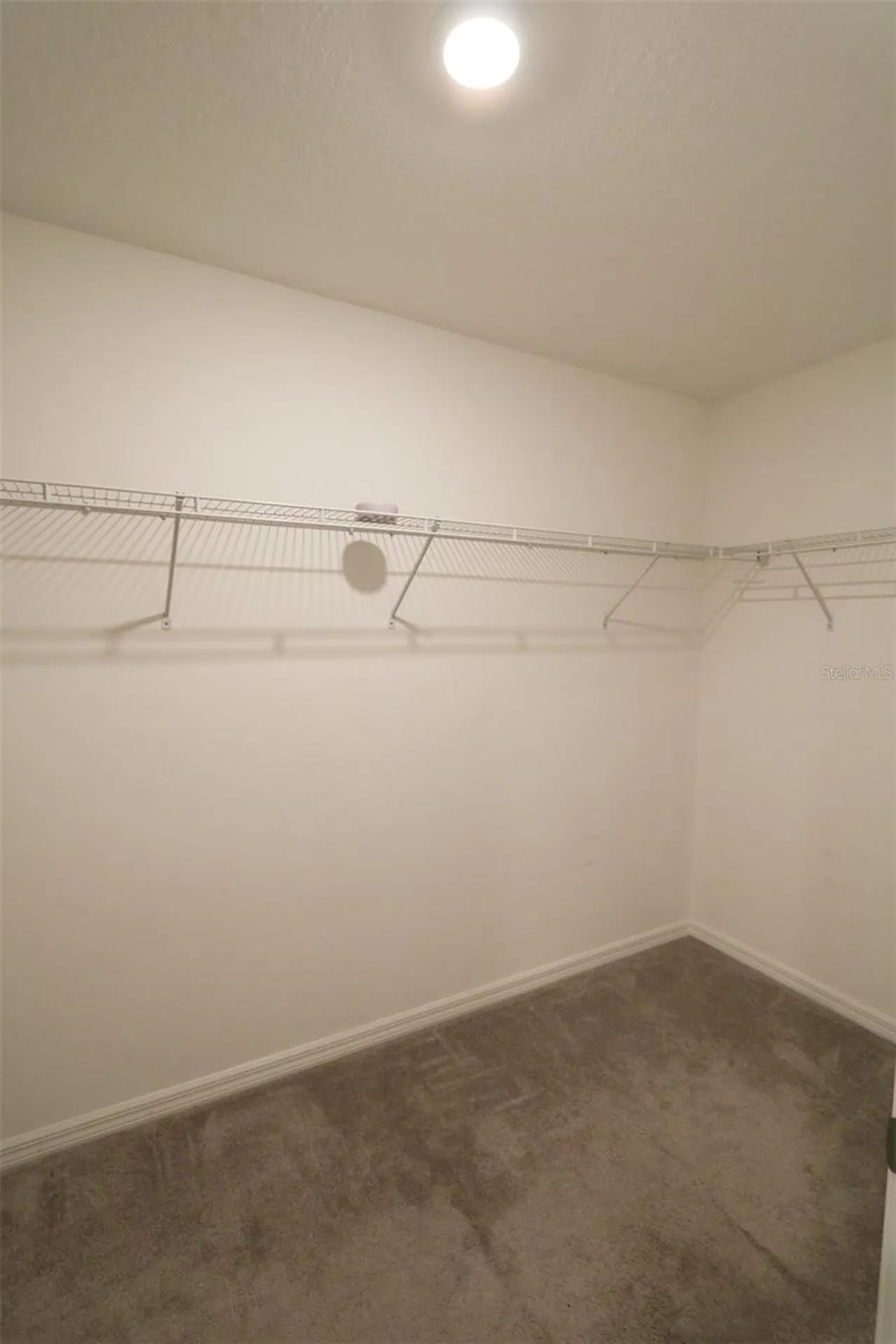 3715 Daisy Bloom Place Tampa FL 33619