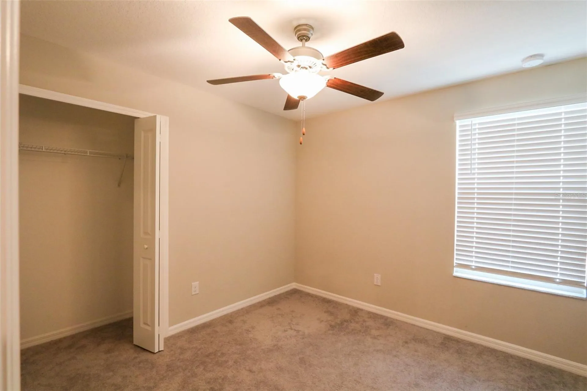 3715 Daisy Bloom Place Tampa FL 33619