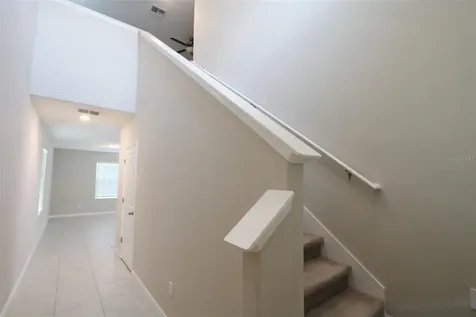 3715 Daisy Bloom Place Tampa FL 33619