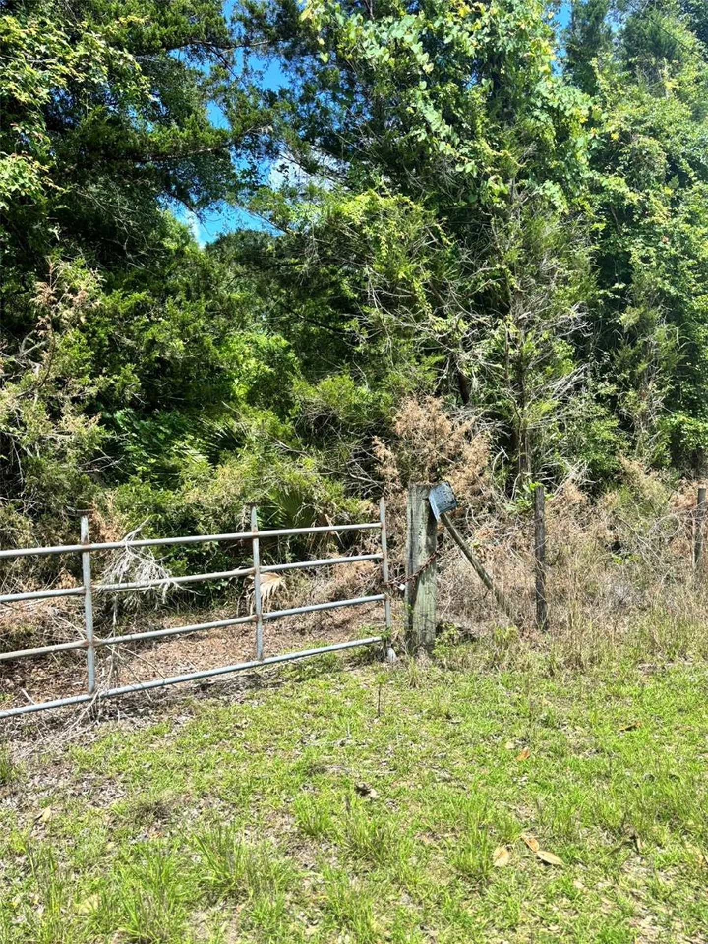 11916 NW 80th Court Chiefland FL 32626