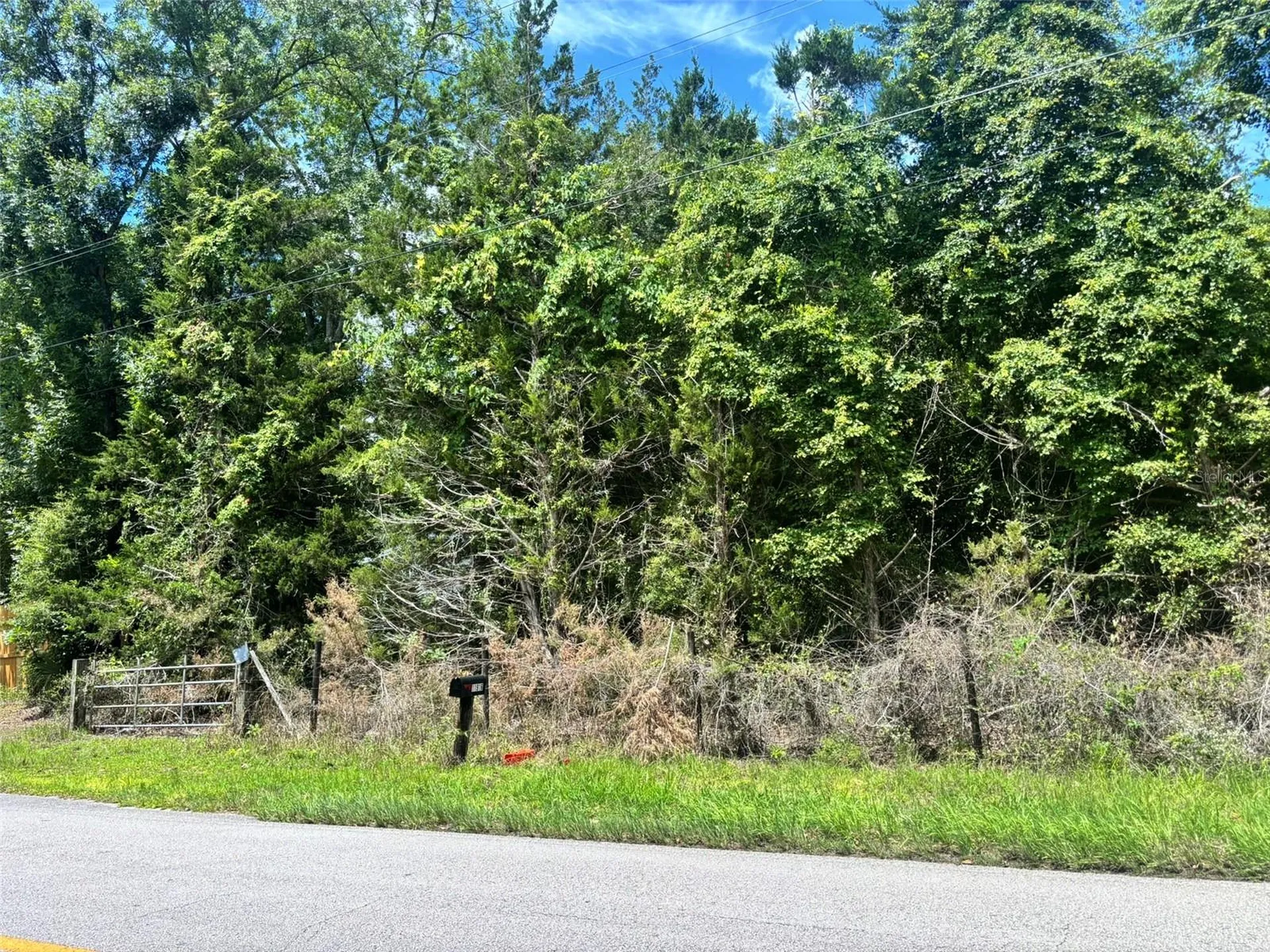11916 NW 80th Court Chiefland FL 32626
