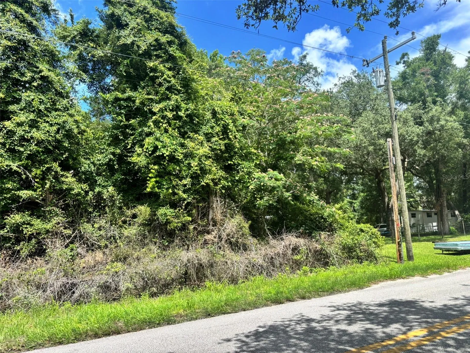 11916 NW 80th Court Chiefland FL 32626
