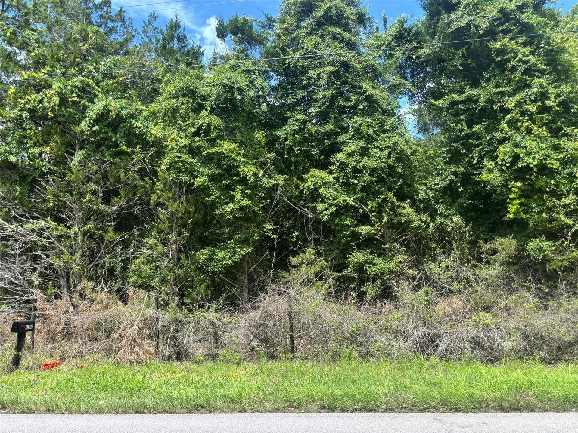 11916 NW 80th Court Chiefland FL 32626