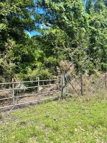 11916 NW 80th Court Chiefland FL 32626