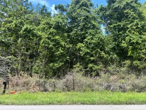 11916 NW 80th Court Chiefland FL 32626