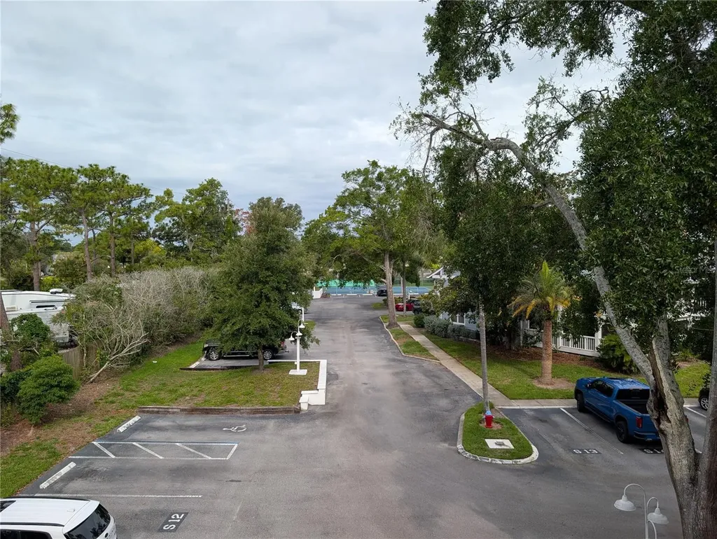 2577 Dolly Bay Drive Palm Harbor FL 34684