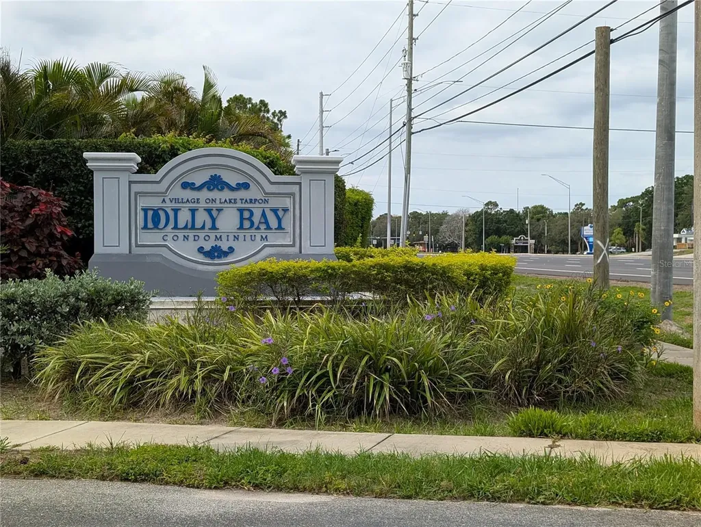 2577 Dolly Bay Drive Palm Harbor FL 34684