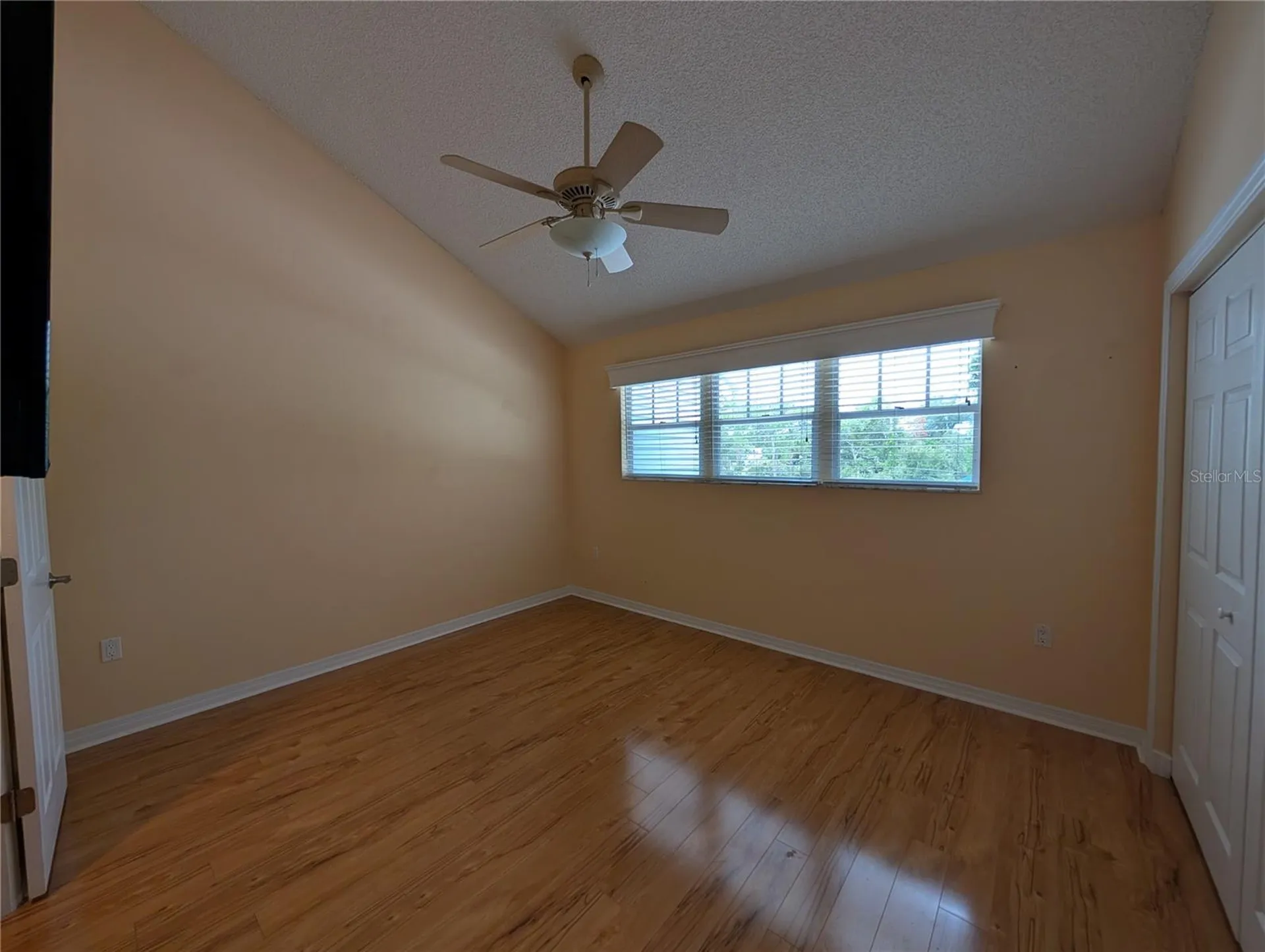 2577 Dolly Bay Drive Palm Harbor FL 34684
