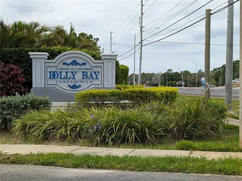 2577 Dolly Bay Drive Palm Harbor FL 34684