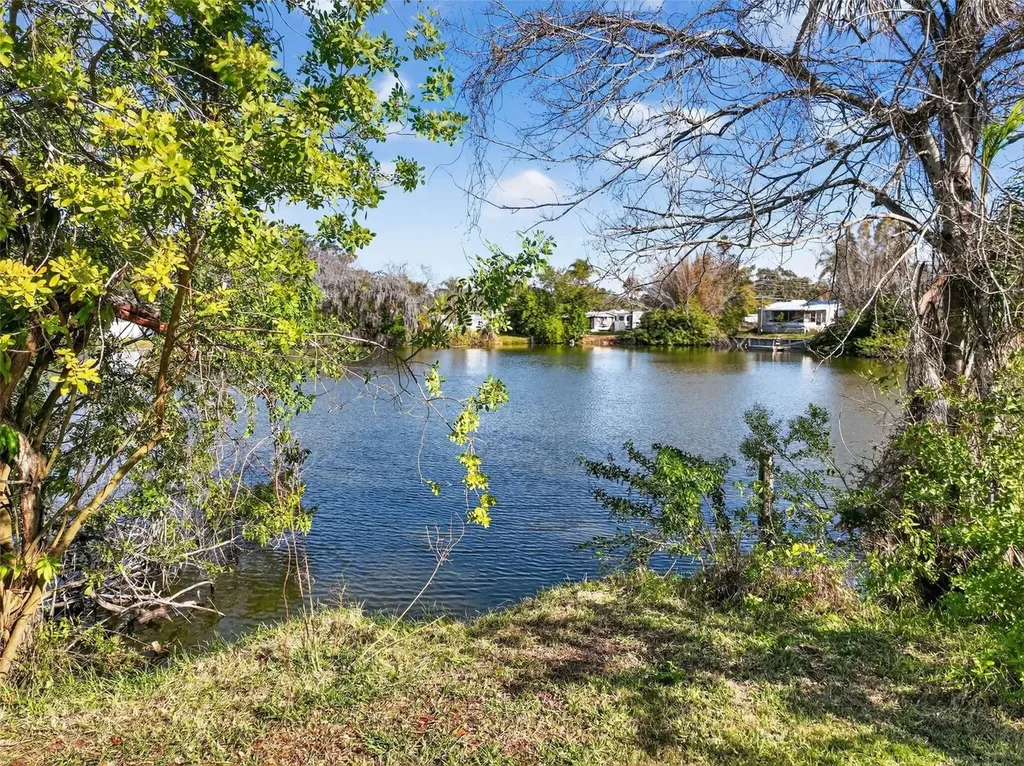 4505 Cottonwood Drive New Port Richey FL 34652