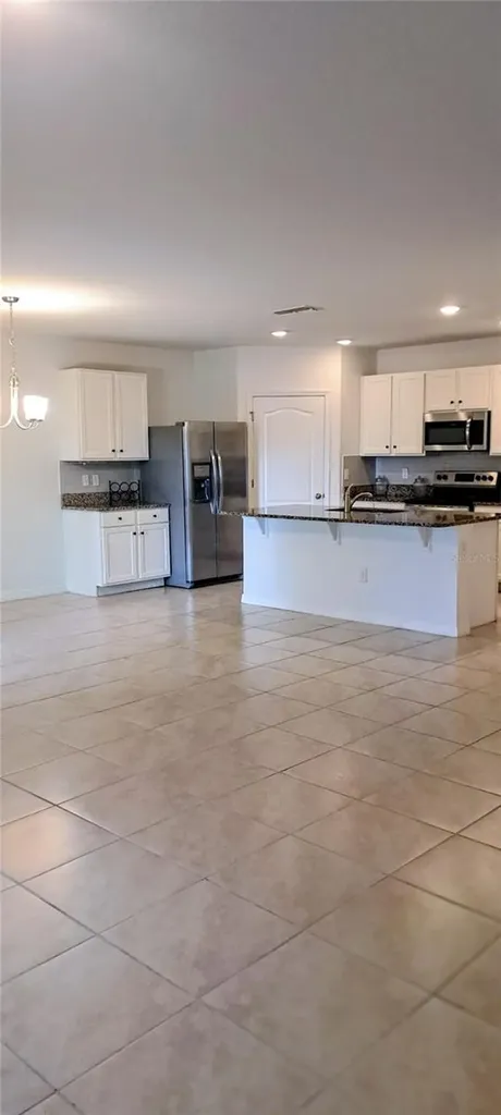 2487 White Lilly Drive Kissimmee FL 34747