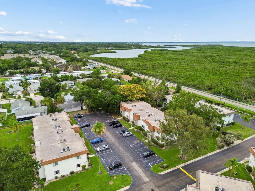 239 S Mcmullen Booth Road Clearwater FL 33759
