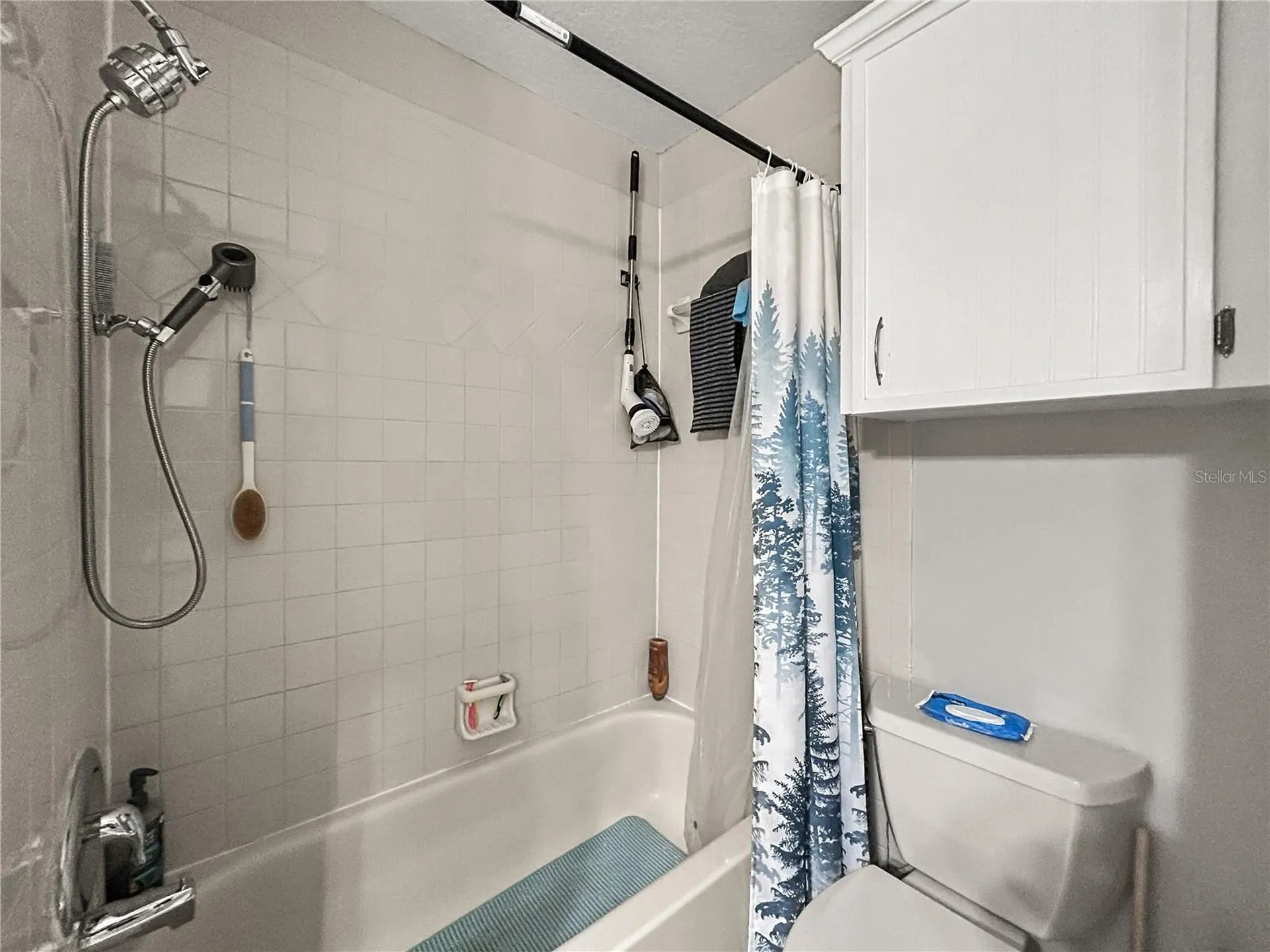 3426 SW Laurel Dale Drive Tampa FL 33618