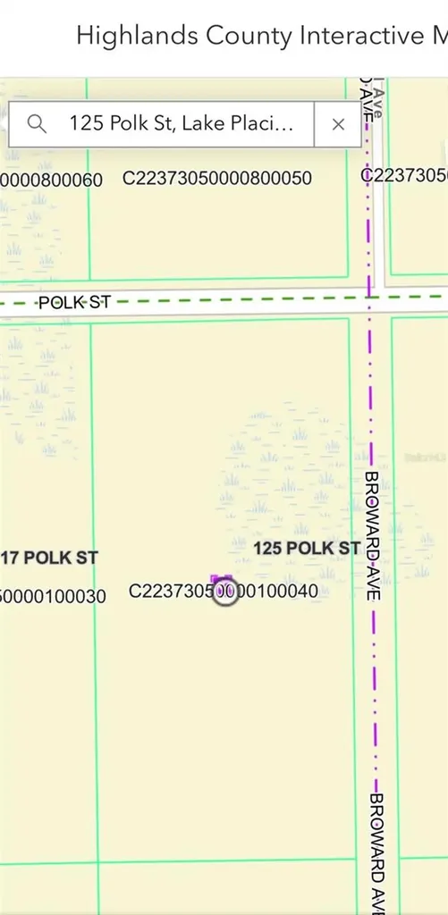 125 Polk Street Lake Placid FL 33852