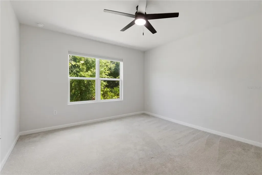 12034 Grizzly Lane New Port Richey FL 34654