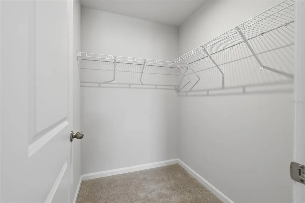12034 Grizzly Lane New Port Richey FL 34654