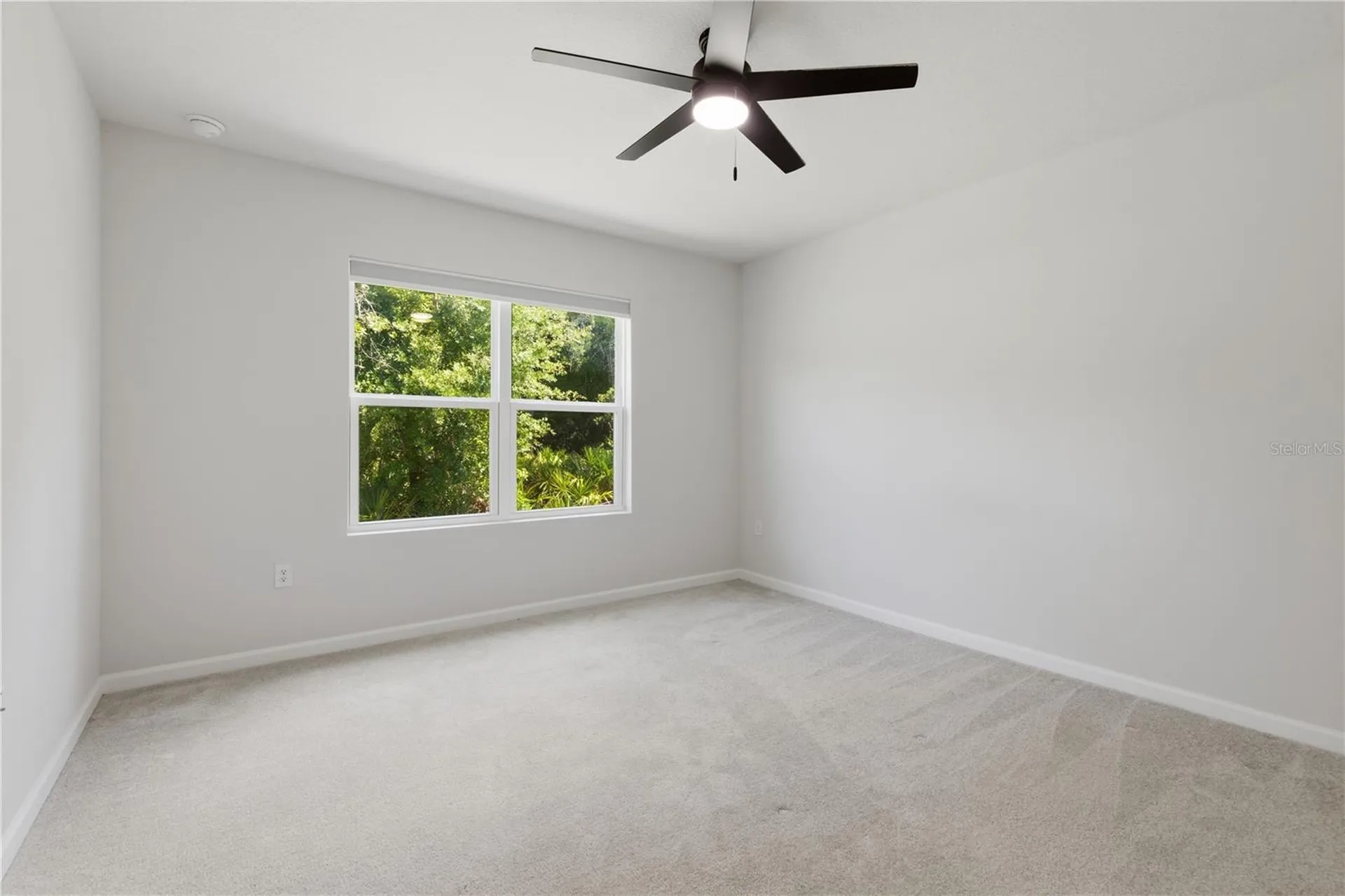 12034 Grizzly Lane New Port Richey FL 34654