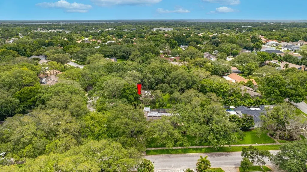 2827 Pheasant Run Clearwater FL 33759