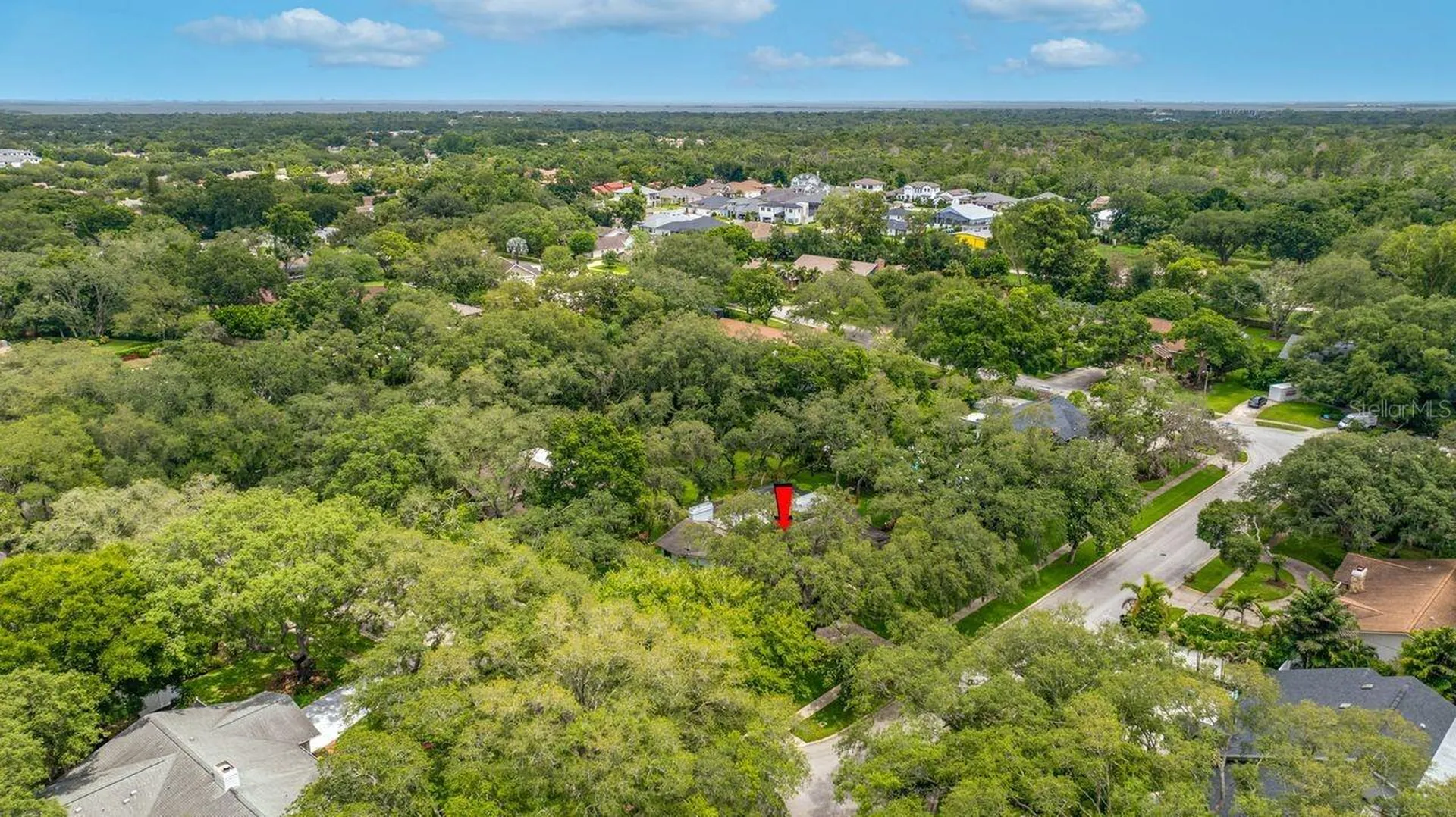 2827 Pheasant Run Clearwater FL 33759