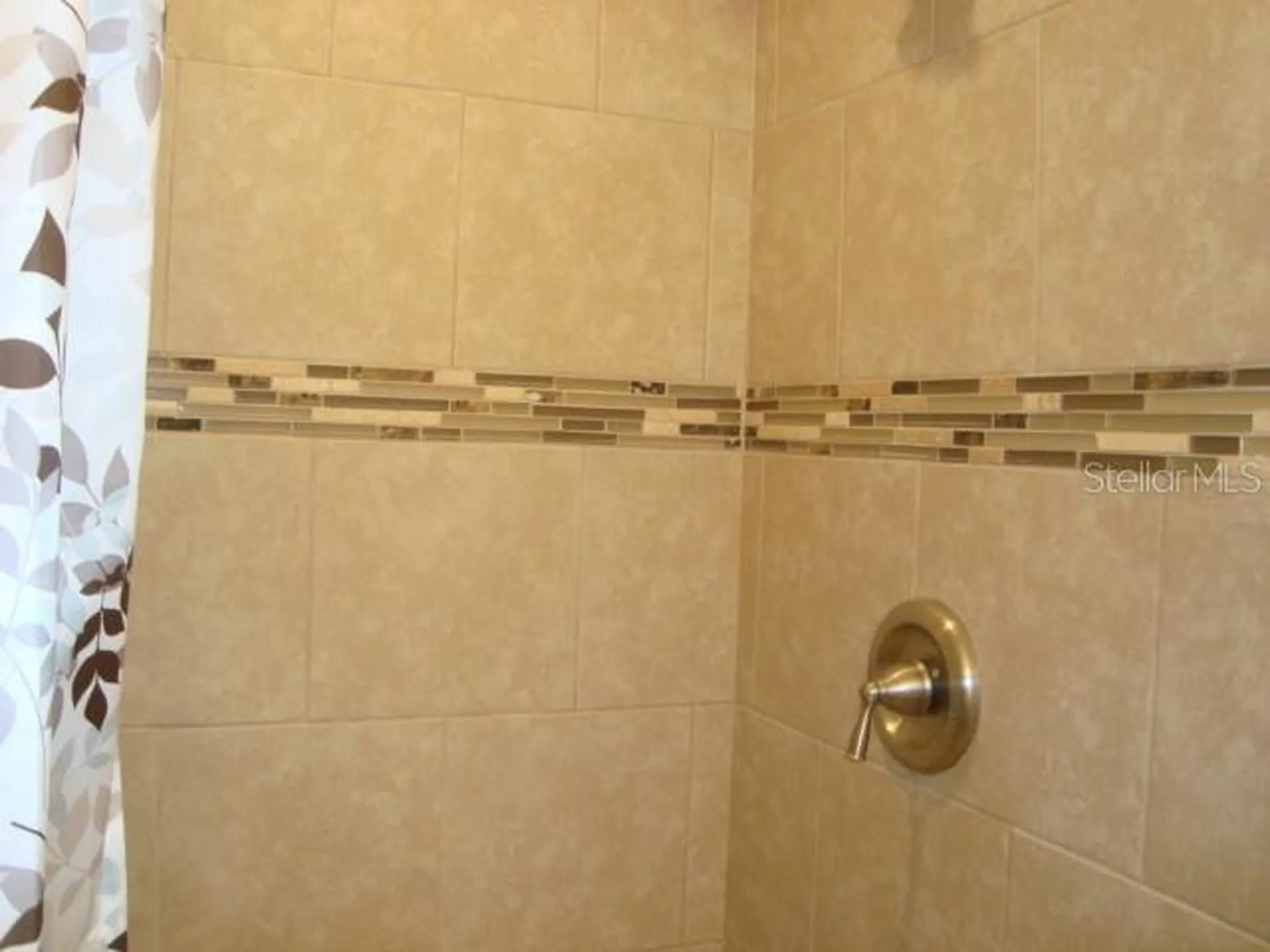 2234 Rose Lane Clearwater FL 33764