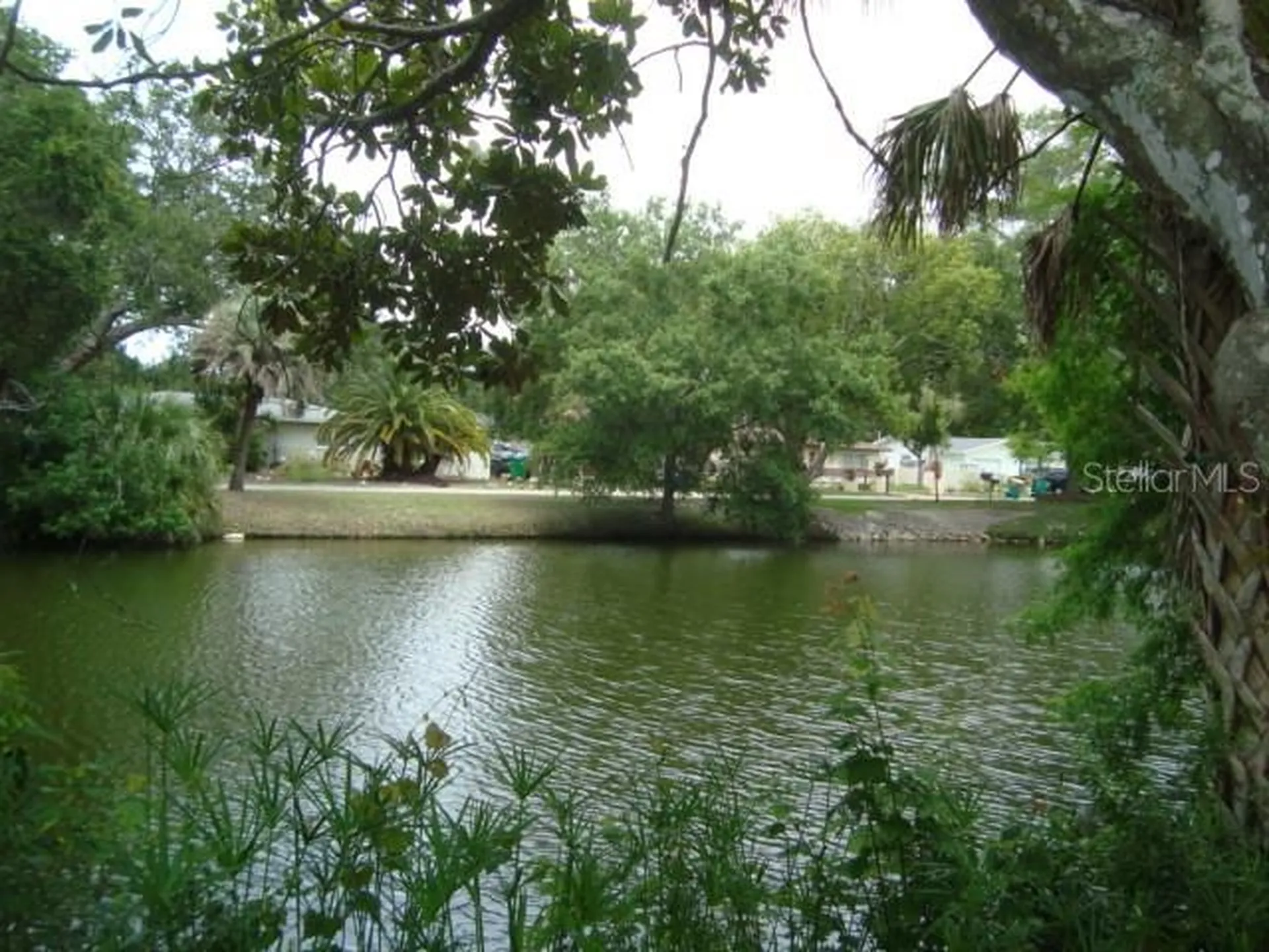 2234 Rose Lane Clearwater FL 33764