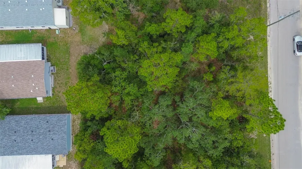 6859 W Merrivale Lane Homosassa FL 34446
