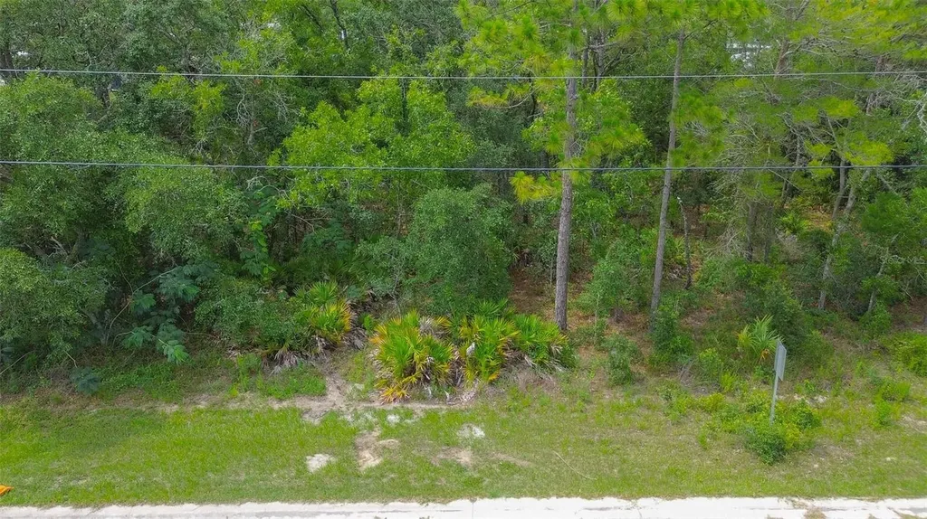 6859 W Merrivale Lane Homosassa FL 34446