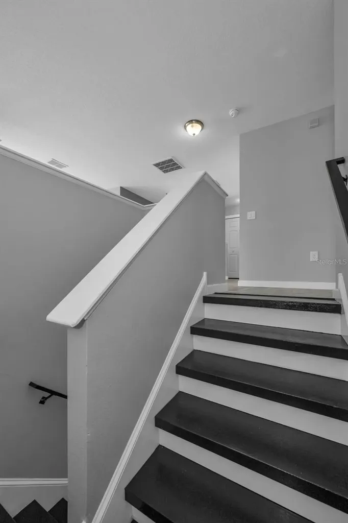 1345 Halapa Way Trinity FL 34655