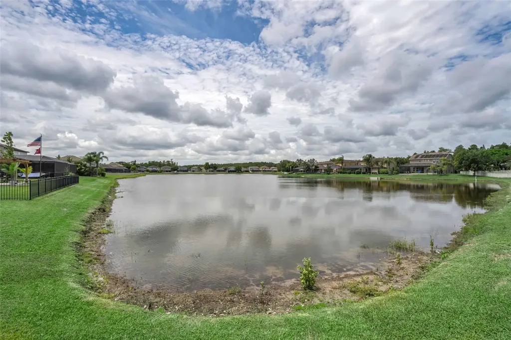 1345 Halapa Way Trinity FL 34655