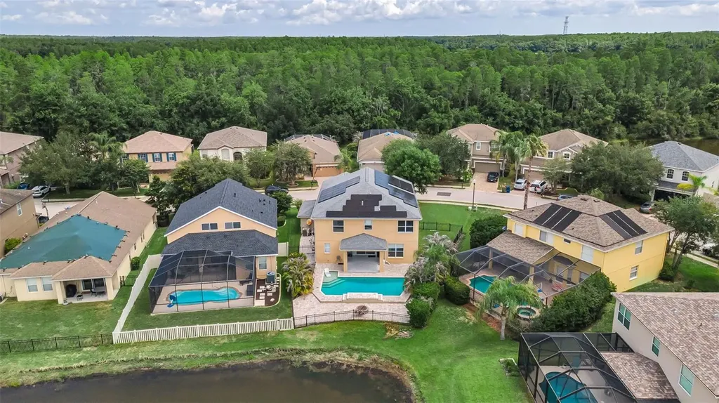 1345 Halapa Way Trinity FL 34655