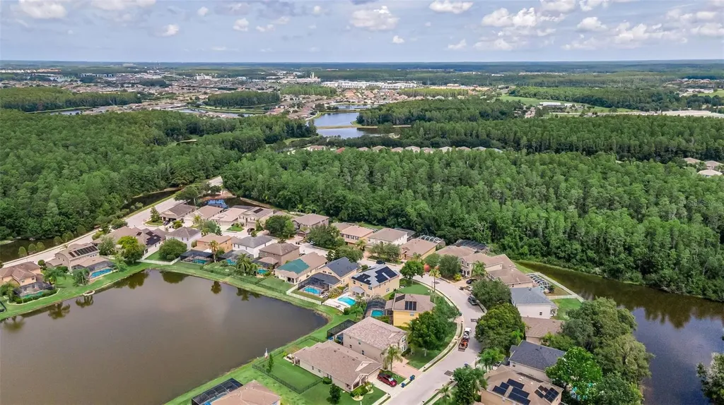 1345 Halapa Way Trinity FL 34655