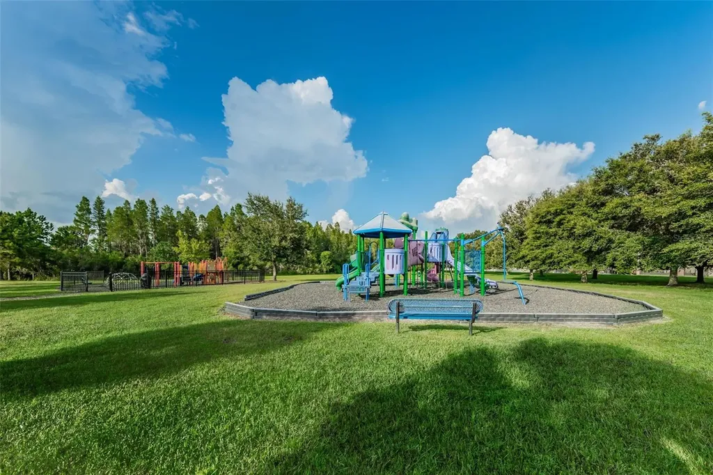 1345 Halapa Way Trinity FL 34655