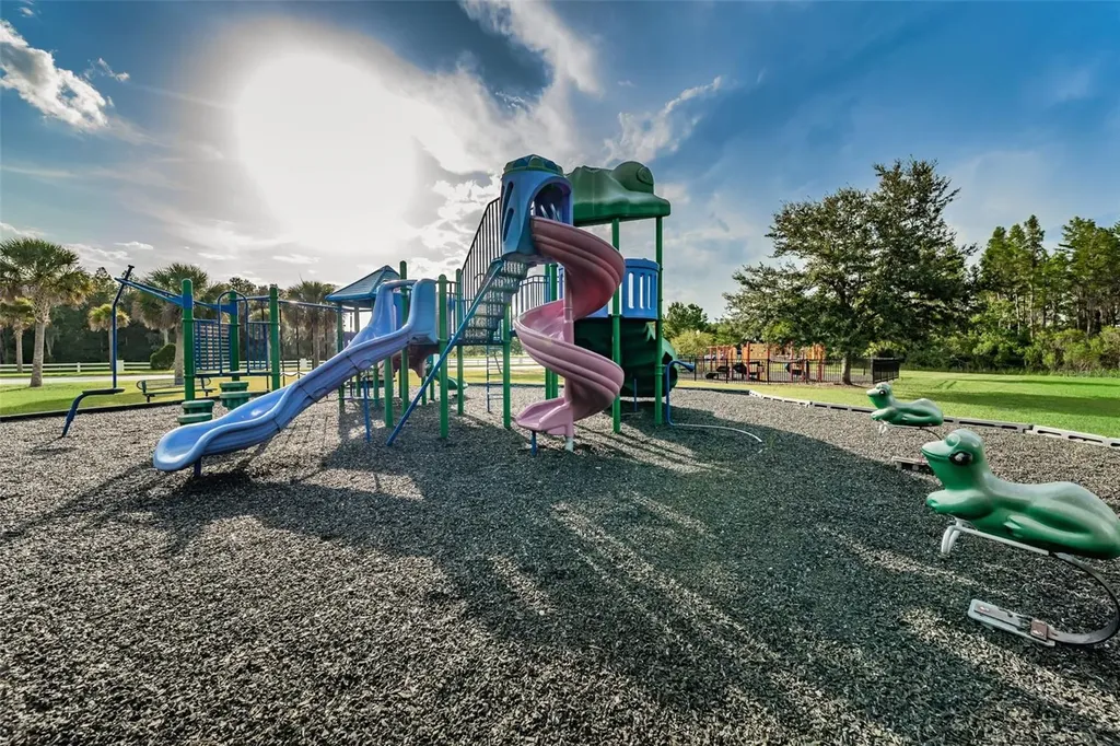 1345 Halapa Way Trinity FL 34655