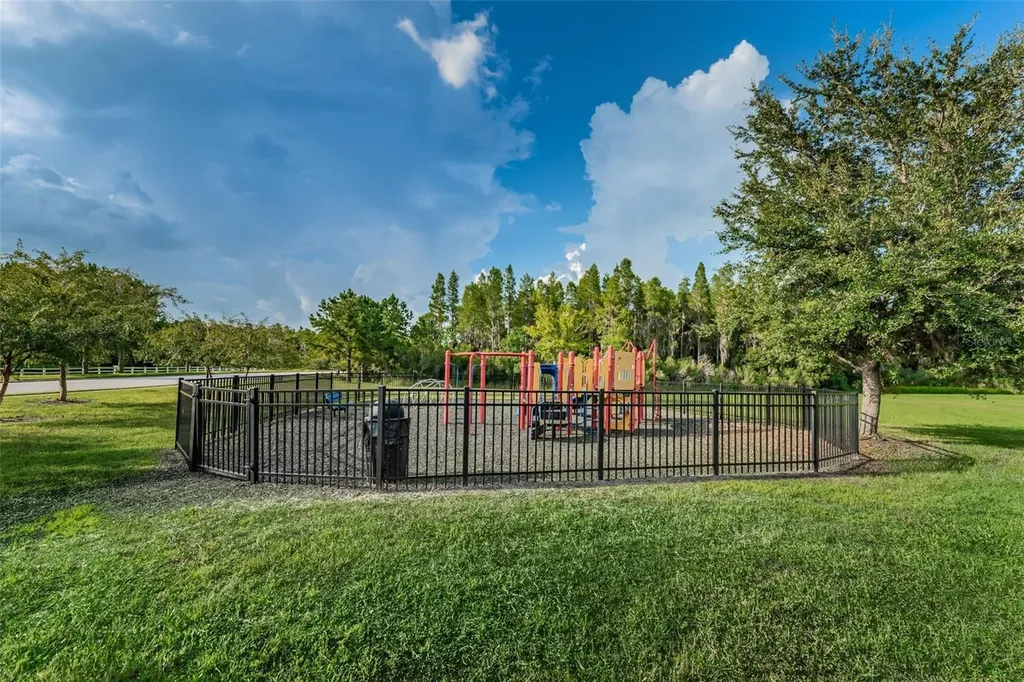 1345 Halapa Way Trinity FL 34655