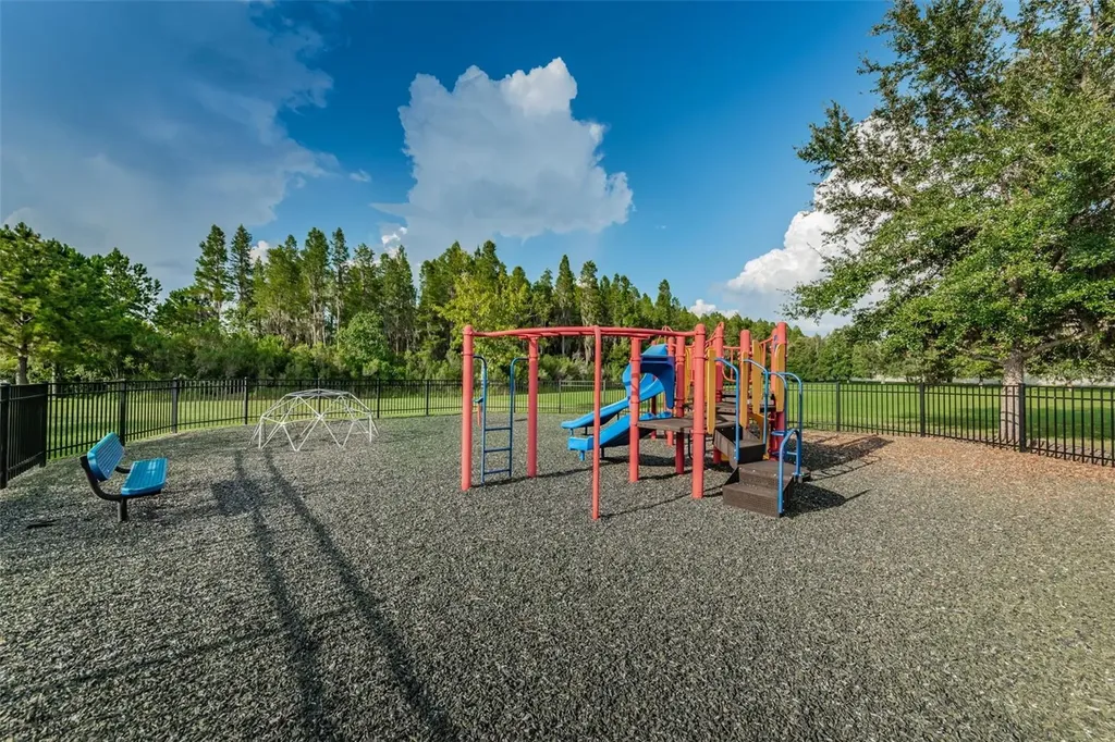 1345 Halapa Way Trinity FL 34655