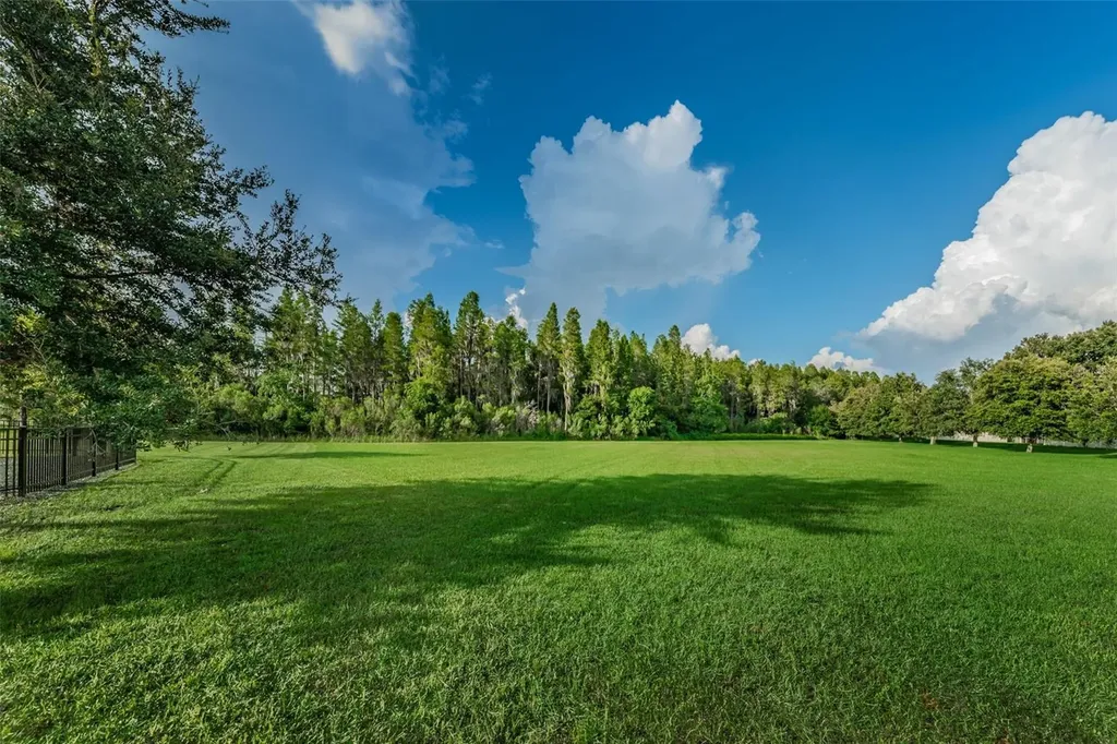 1345 Halapa Way Trinity FL 34655