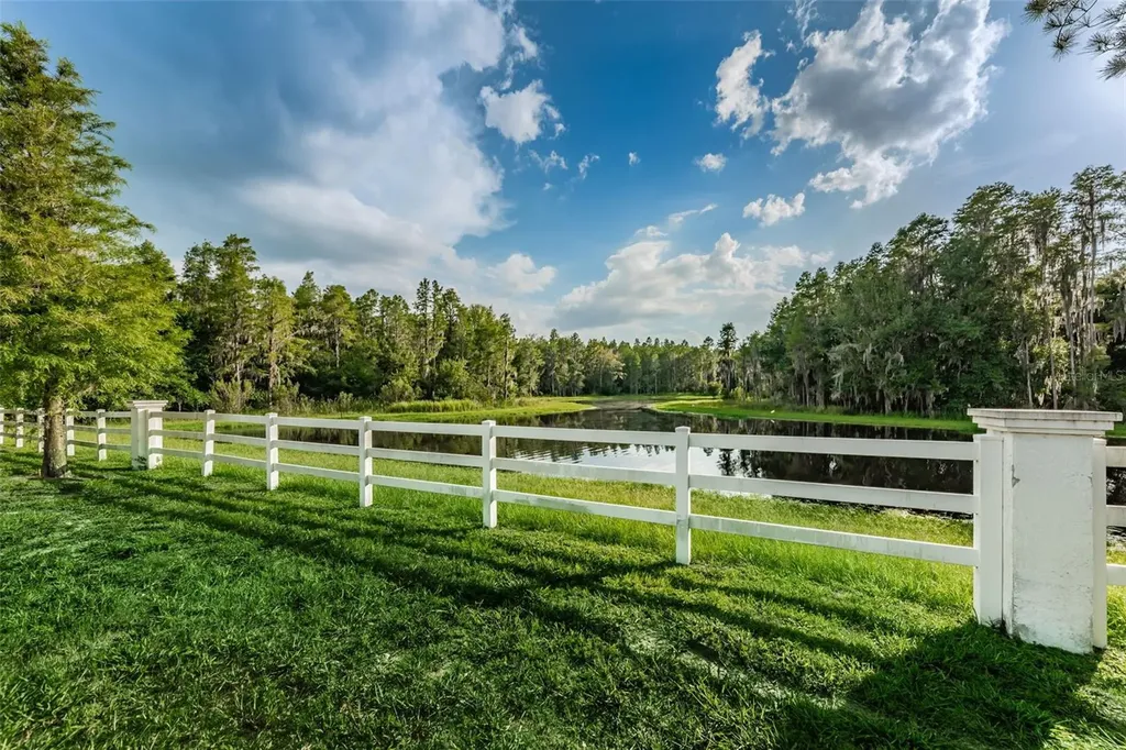 1345 Halapa Way Trinity FL 34655