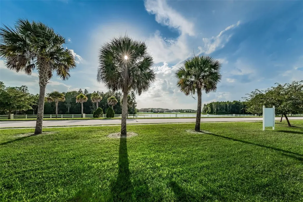 1345 Halapa Way Trinity FL 34655