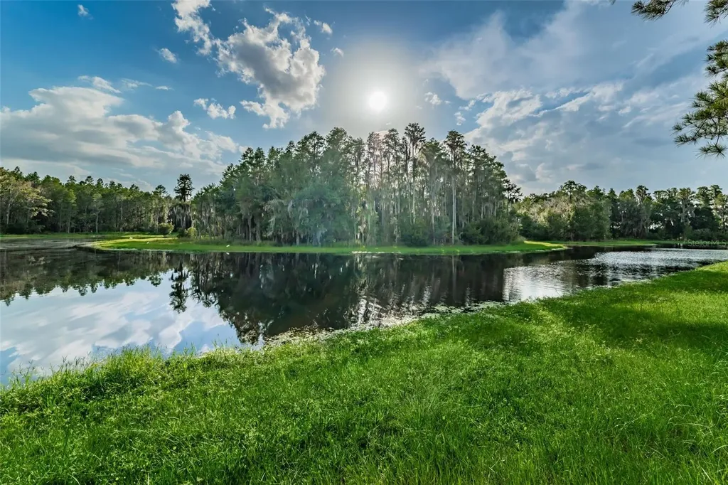 1345 Halapa Way Trinity FL 34655