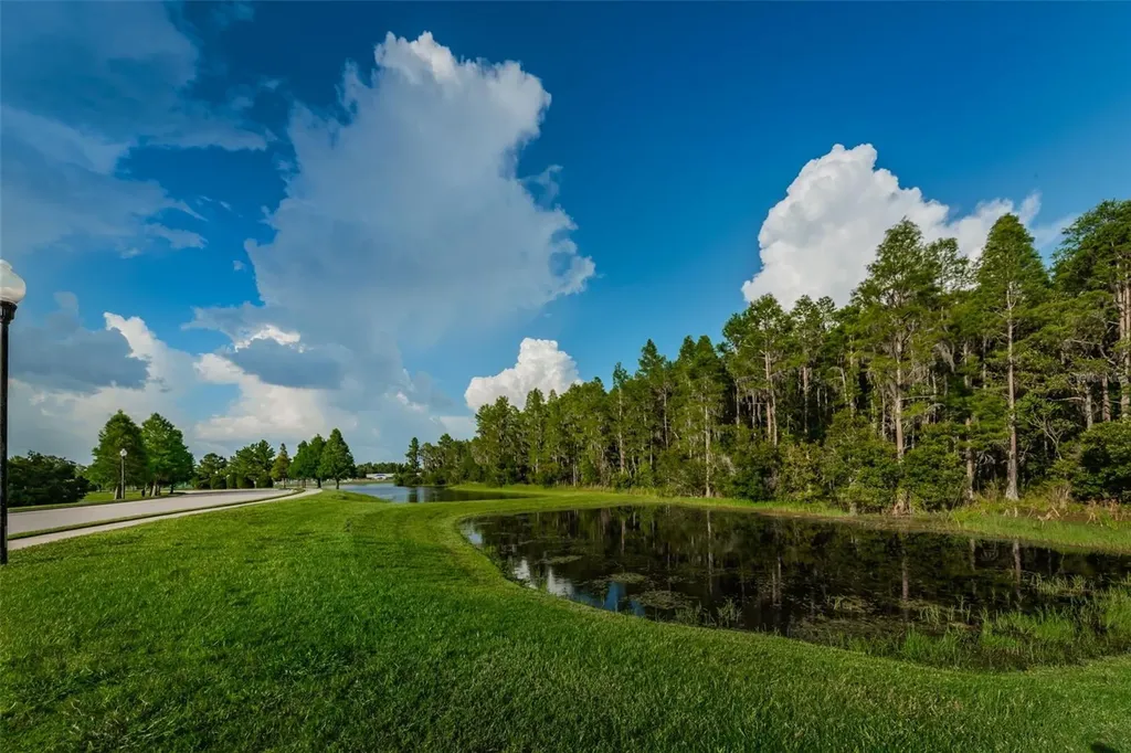 1345 Halapa Way Trinity FL 34655