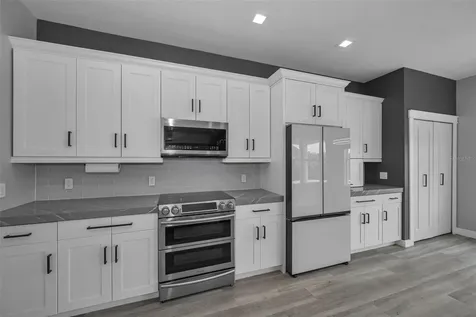 1345 Halapa Way Trinity FL 34655