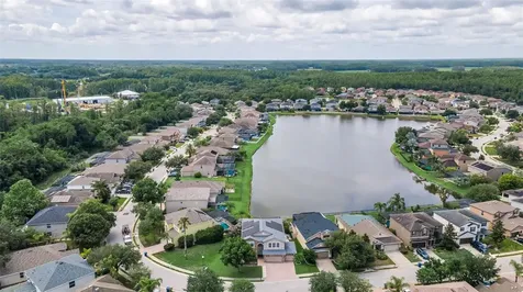 1345 Halapa Way Trinity FL 34655
