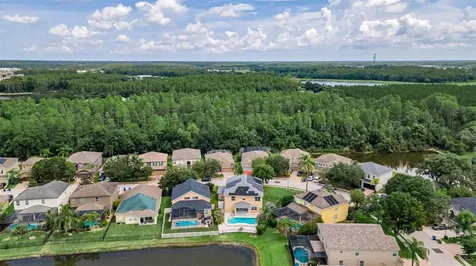 1345 Halapa Way Trinity FL 34655
