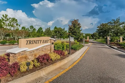 1345 Halapa Way Trinity FL 34655