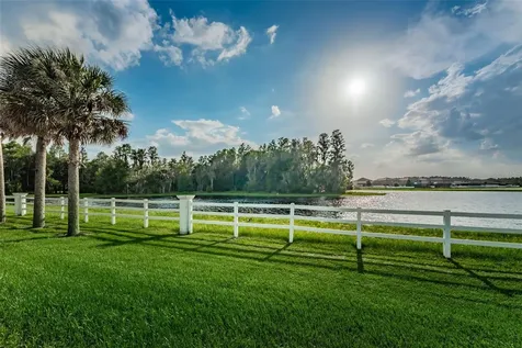 1345 Halapa Way Trinity FL 34655