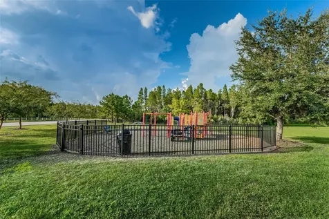 1345 Halapa Way Trinity FL 34655