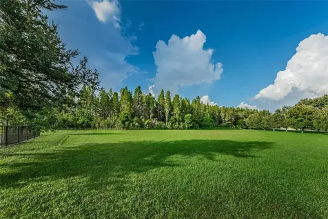 1345 Halapa Way Trinity FL 34655