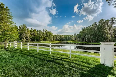 1345 Halapa Way Trinity FL 34655