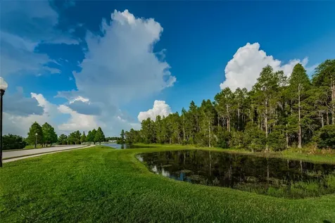 1345 Halapa Way Trinity FL 34655