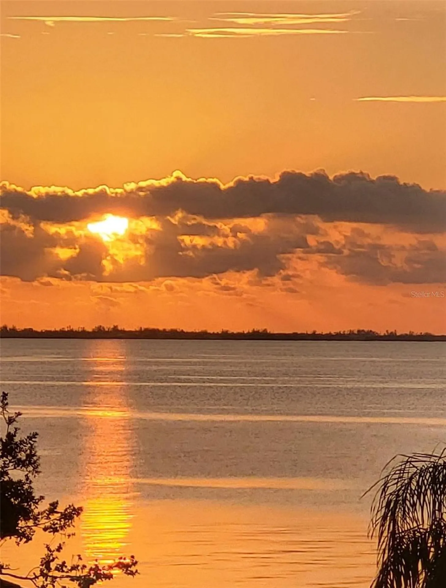 Sarasota FL, 320 Ringling Point Drive